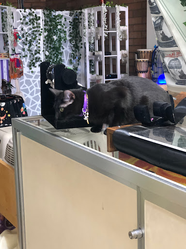 Delightful Days Cat Sanctuary @ Enchanted Crystals