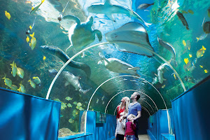 Oceanarium