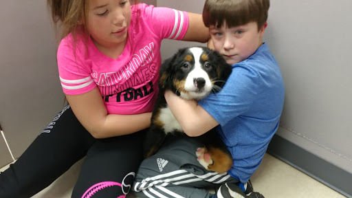 Pet Store «Petland», reviews and photos, 920 Hebron Rd, Heath, OH 43056, USA