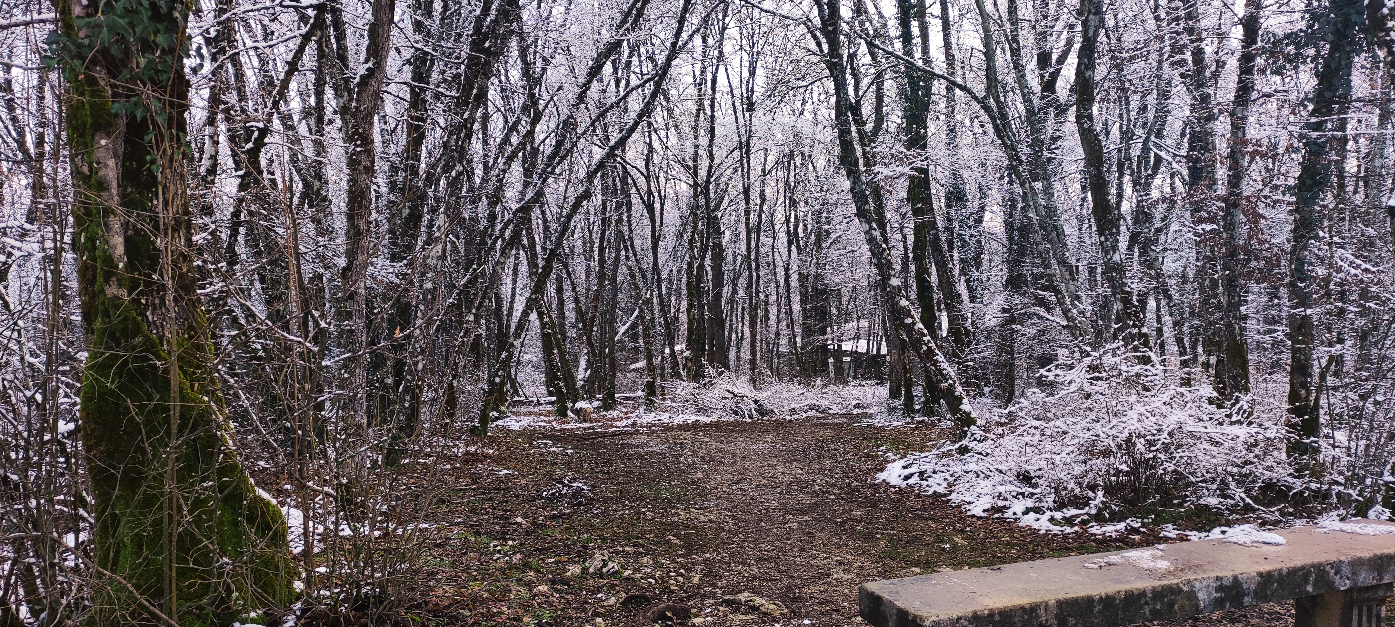 Photo n° 2 de l'avis de ML.D fait le 08/01/2021 à 18:51