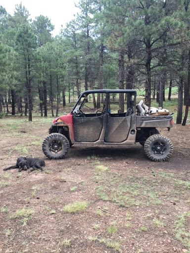 Motorcycle Dealer «RideNow Powersports Phoenix», reviews and photos, 17202 N Cave Creek Rd, Phoenix, AZ 85032, USA