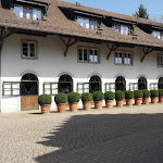 Photo n°6 de l'avis de Beatrice.o fait le 12/04/2024 à 11:57 sur le  Hofgut Albführen à Dettighofen