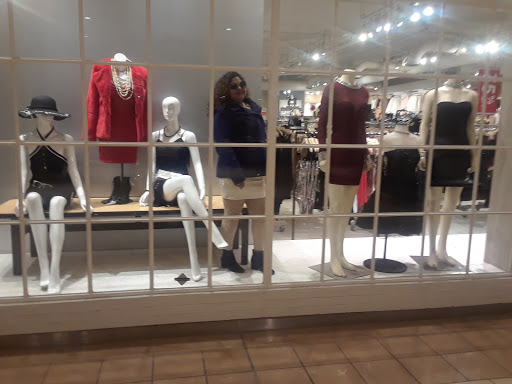 Shopping Mall «Collin Creek Mall», reviews and photos, 811 N Central Expy, Plano, TX 75075, USA