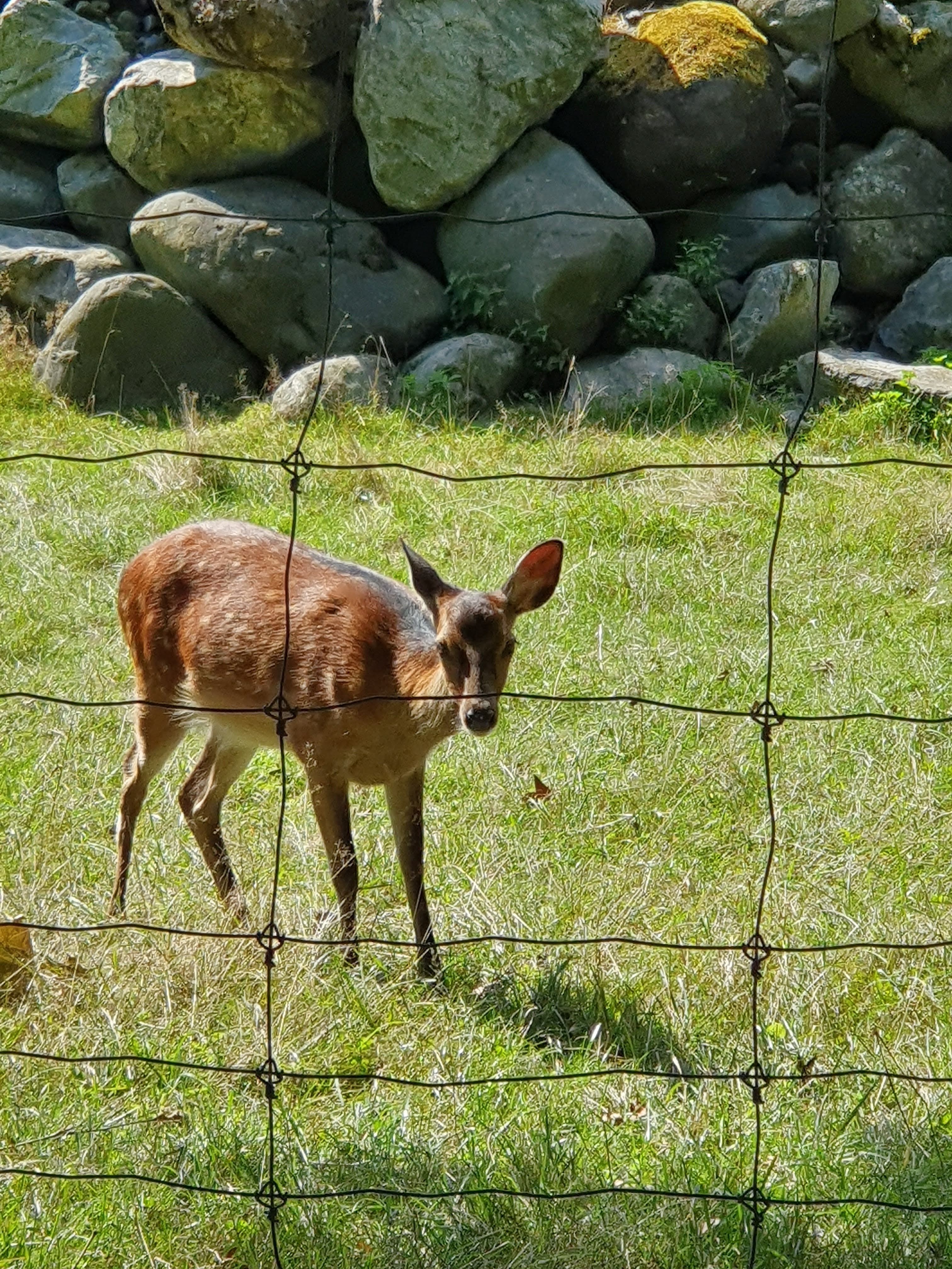 Photo n° 6 de l'avis de Estelle. fait le 09/09/2019 à 19:07