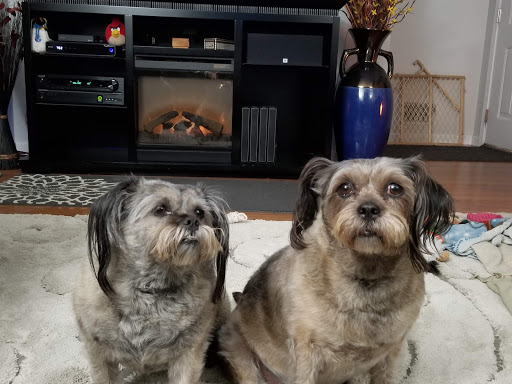 Pet Supply Store «Pet Supplies Plus», reviews and photos, 2649 E Grand River Ave, Howell, MI 48843, USA