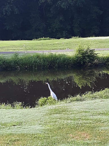 Country Club «Great Gorge Golf Course», reviews and photos, 414 County Road 517, Vernon Township, NJ 07462, USA