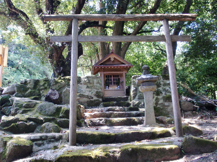 徳司神社の大クス
