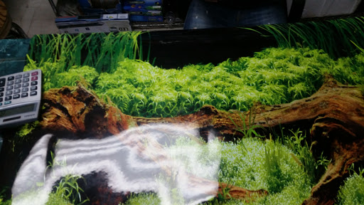 Aquarium «Tamco Aquarium», reviews and photos, 6310 Bay Pkwy, Brooklyn, NY 11204, USA