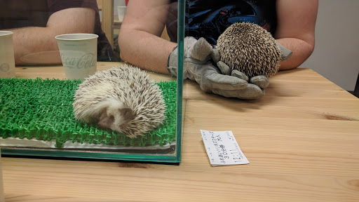 Hedgehog Cafe & Pet Store HARRY Harajuku