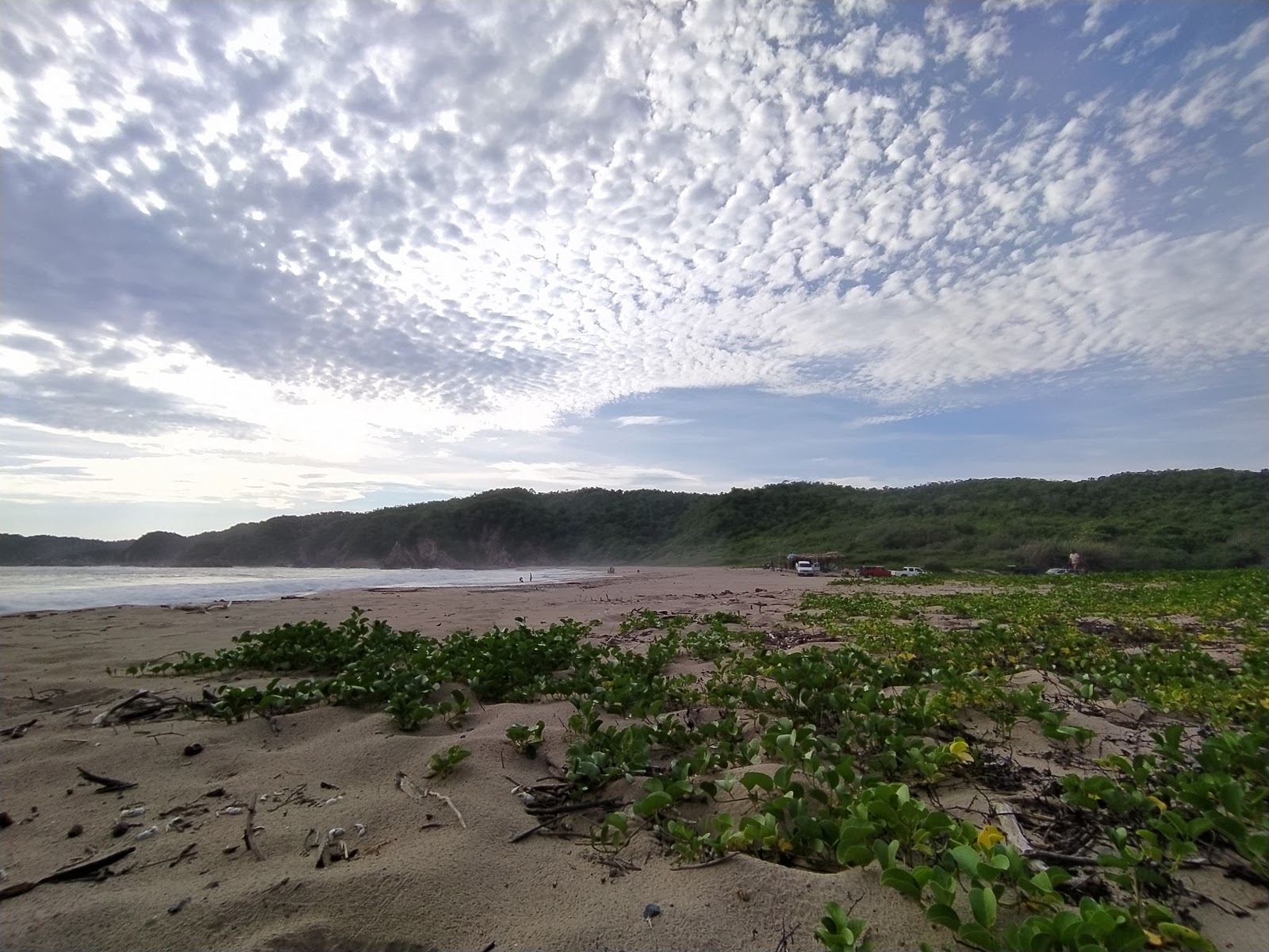 Playa el Palmito的照片 带有碧绿色纯水表面