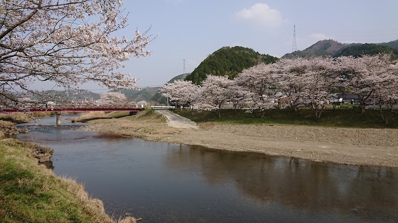 志文川堤防桜並木