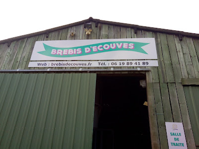 La Brebis d'écouves à Saint-Nicolas-des-Bois