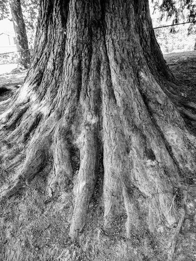 Park «Marvista Park», reviews and photos, 19990 4th Ave SW, Normandy Park, WA 98166, USA