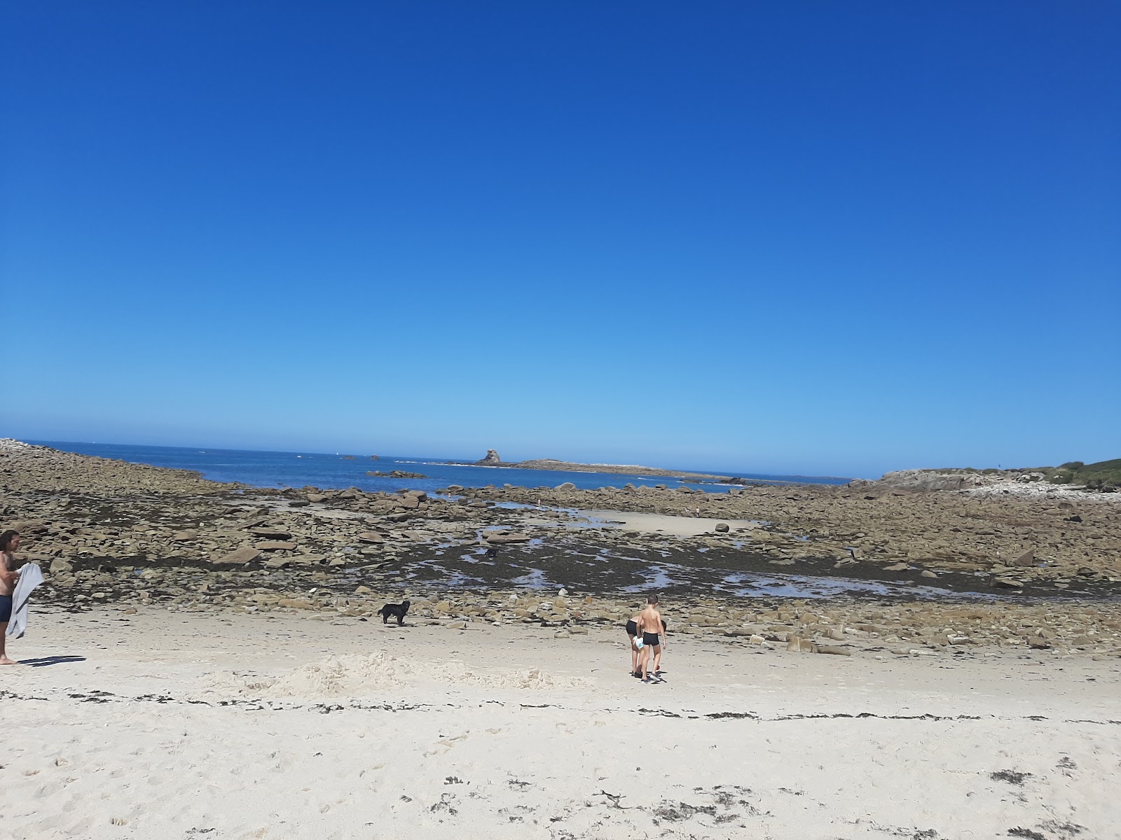 Plage de Porz Gwenn'in fotoğrafı çok temiz temizlik seviyesi ile