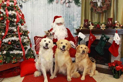 Pet Supply Store «The Hungry Puppy», reviews and photos, 1288 NJ-33, Farmingdale, NJ 07727, USA