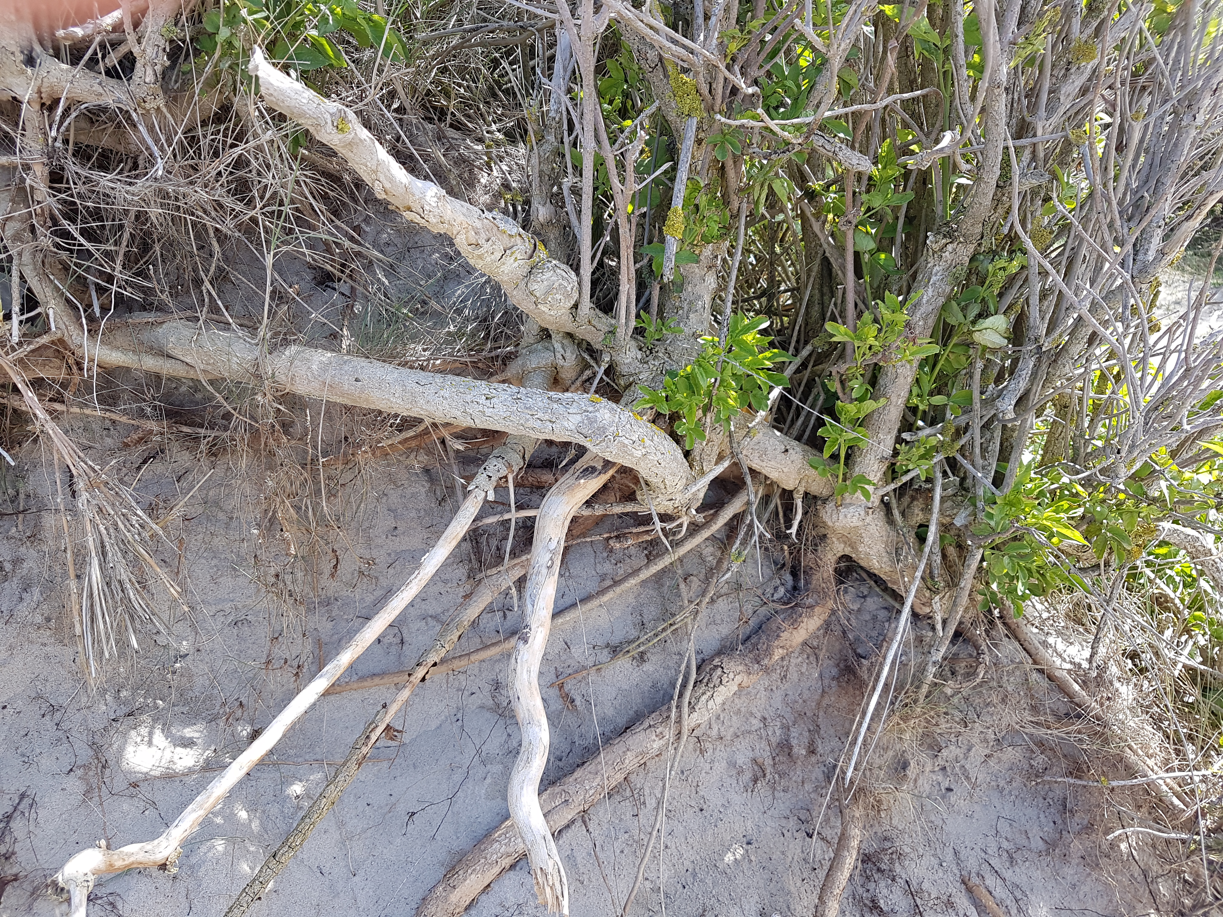 Photo n° 2 de l'avis de Christophe.a fait le 04/05/2019 à 14:33