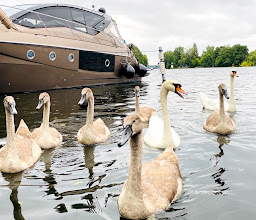 Trattoria Di Mare photo