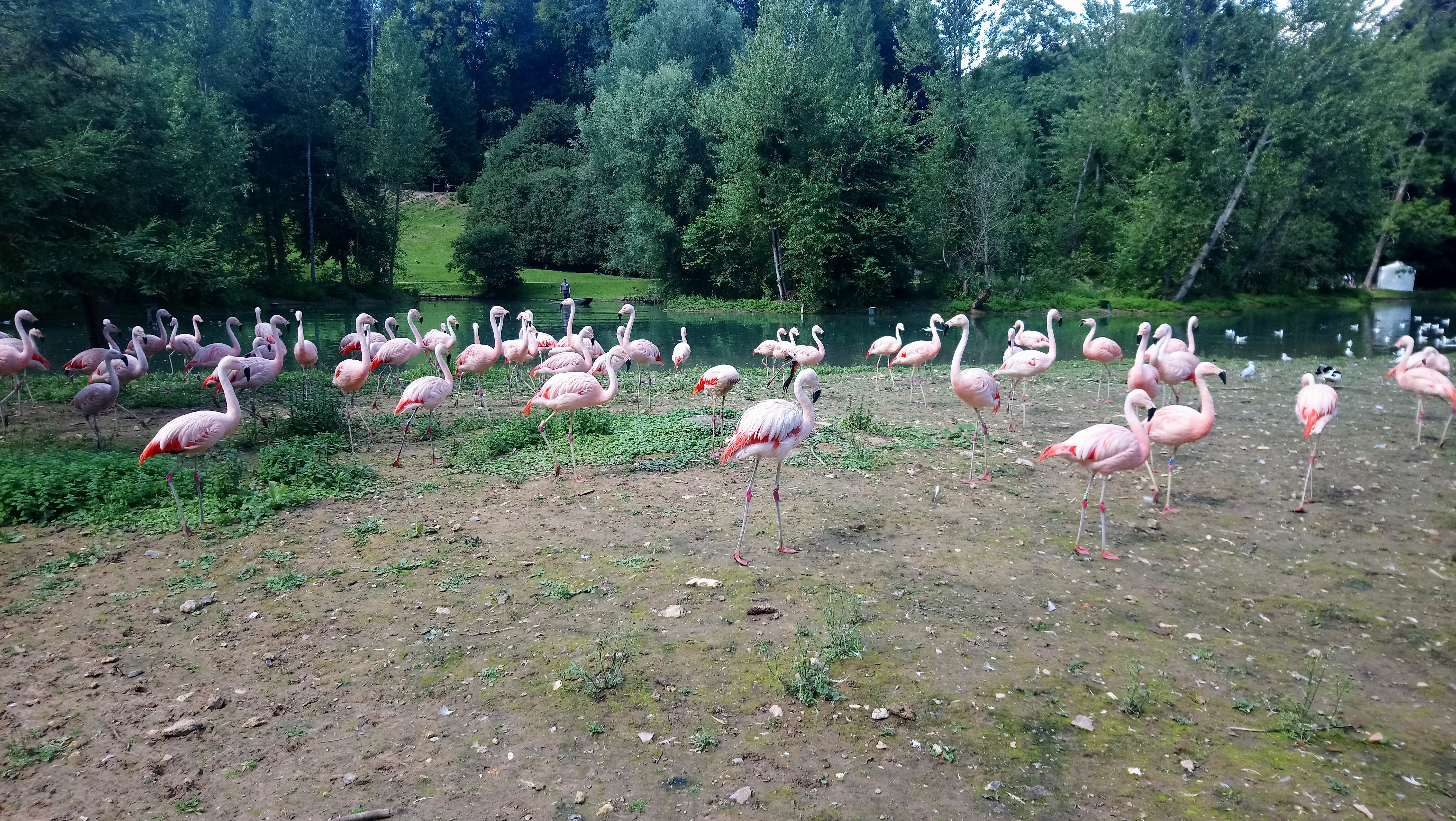 Photo n° 2 de l'avis de Sonia.e fait le 11/08/2021 à 16:42