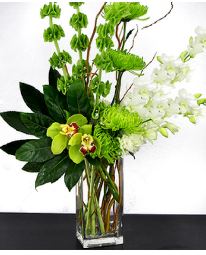 Florist «Alfa Flower Shop», reviews and photos, 7001 W North Ave, Wauwatosa, WI 53213, USA