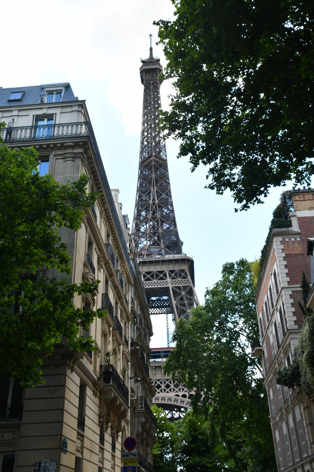 Photo n° 6 de l'avis de Danuble.e fait le 12/06/2022 à 17:23