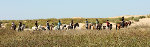 Centre équestre Poney Découverte Les Mathes