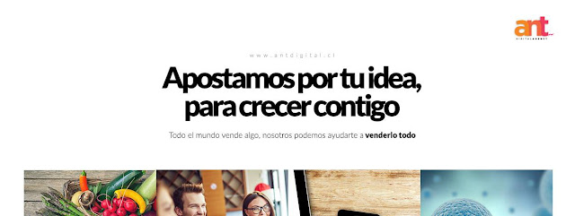 Agencia ANT Digital - Providencia