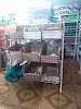 Tienda Amadelia Logo, Joluta, Mexico, Store
