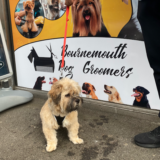 Bournemouth dog groomers