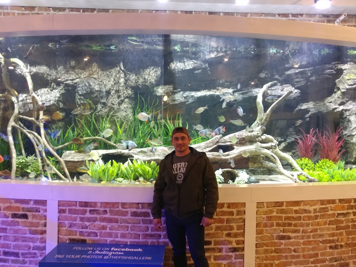 Aquarium Environments