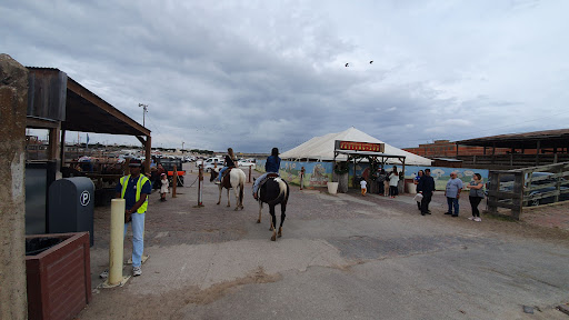 Zoo «Petting Zoo», reviews and photos, 829 E Exchange Ave, Fort Worth, TX 76164, USA