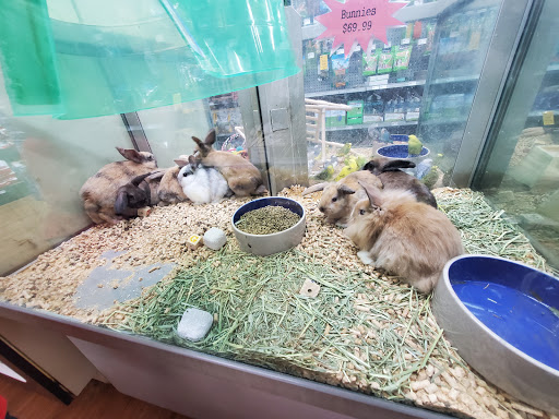 Pet Store «Petland», reviews and photos, 1600 Turner McCall Blvd, Rome, GA 30161, USA