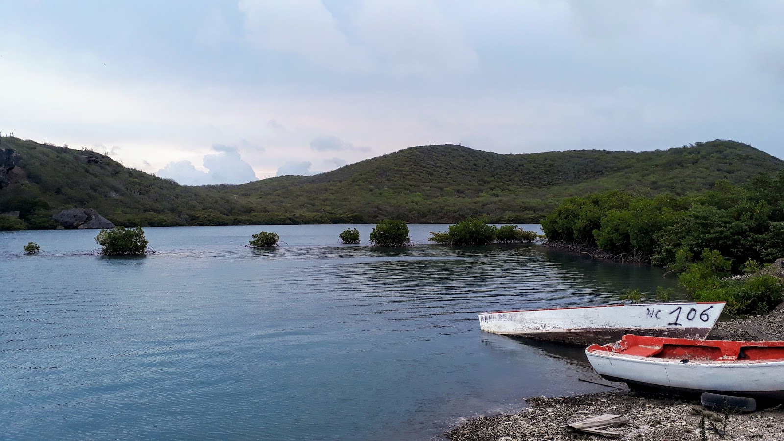 Foto de Playa San Juan con calas medianas