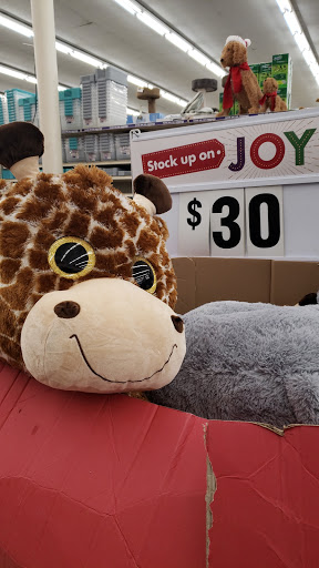 Discount Store «Big Lots», reviews and photos, 2495 Sycamore Dr, Simi Valley, CA 93065, USA