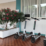 Photo n°3 de l'avis de Paier.a fait le 28/06/2023 à 07:00 sur le  Hotel Palm Beach à Lido di Jesolo