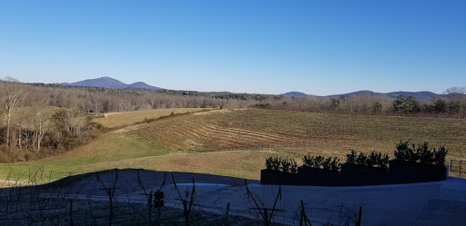 Vineyard «Kaya Vineyard & Winery», reviews and photos, 5400 Town Creek Rd, Dahlonega, GA 30533, USA