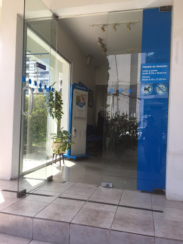 Opiniones de Colmena Golden Cross en Antofagasta - Agencia de seguros