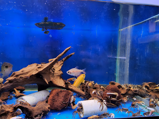 Tropical Fish Store «Keller Farms», reviews and photos, 3405 Denton Hwy, Haltom City, TX 76117, USA