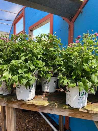 Landscaping Supply Store «Kirkwood Gardens», reviews and photos, 2701 Barrett Station Rd, Ballwin, MO 63021, USA