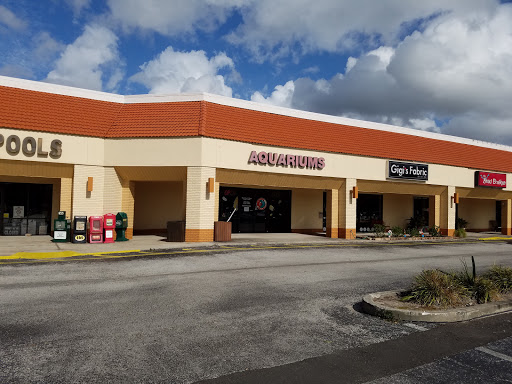 Pet Store «The Aquarium & Fish Store», reviews and photos, 710 W Lumsden Rd, Brandon, FL 33511, USA