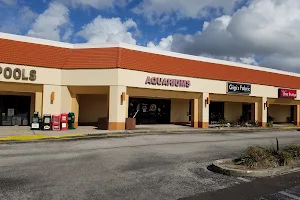The Aquarium & Fish Store image