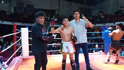 Escuela Internacional de Muay Thai y Kick Boxing 4 - Hermenegildo Galeana 14, Nueva Aragon, 55260 Ecatepec de Morelos, 55260 México, Méx., Mexico