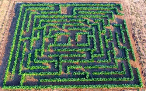 Cobs and Mazes image