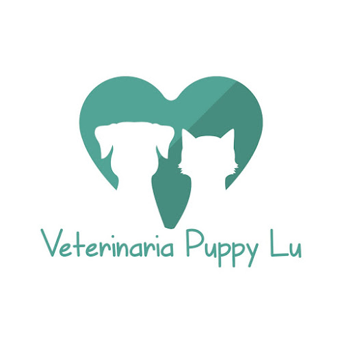 Veterinaria Puppy Lu - Viña del Mar