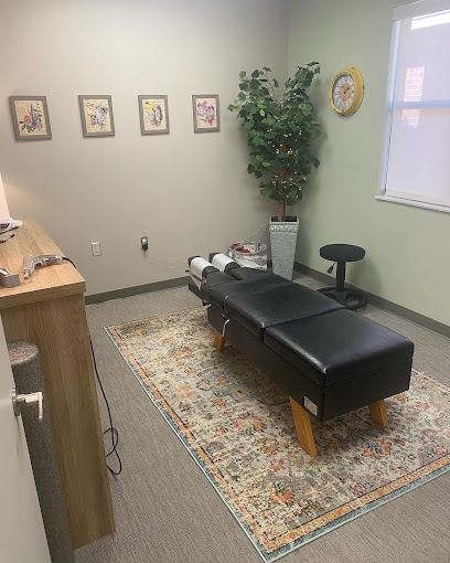 Chiropractic Solutions of Gainesville