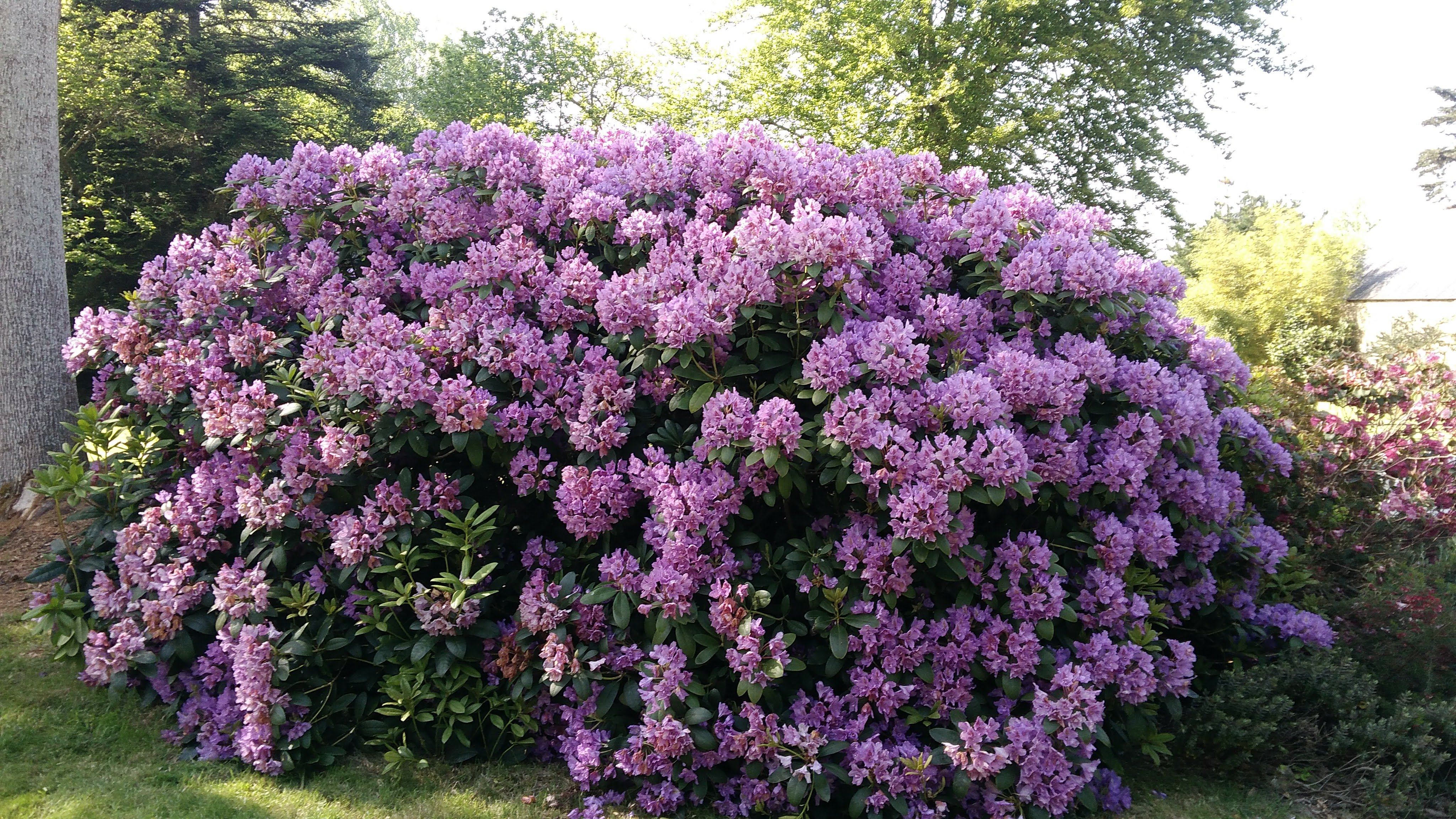 Photo n° 1 de l'avis de Dominique.r fait le 03/06/2018 à 17:34