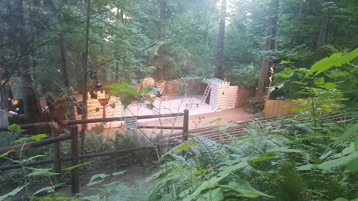Performing Arts Theater «Snoqualmie Falls Forest Theater», reviews and photos, 36800 SE David Powell Rd, Fall City, WA 98024, USA