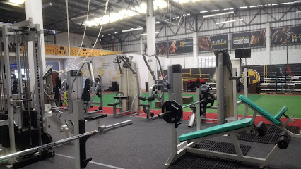 WAREHOUSE TOTAL GYM