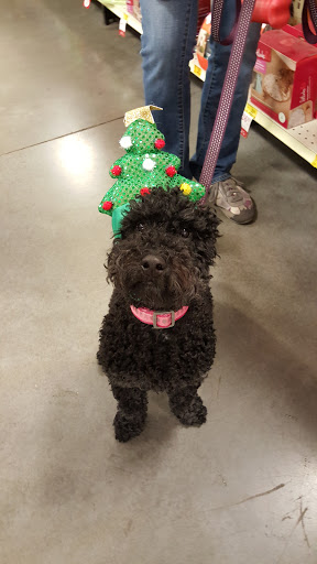 Pet Supply Store «PetSmart», reviews and photos, 1145 W Riverdale Rd, Riverdale, UT 84405, USA