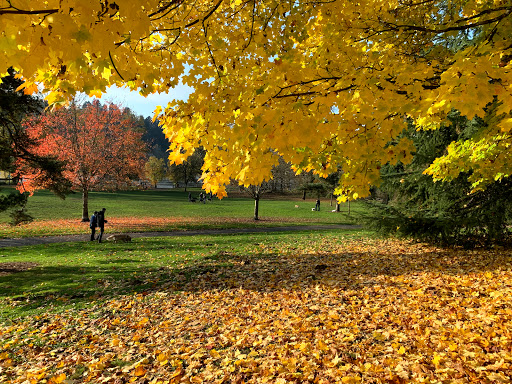 Park «Sellwood Riverfront Park», reviews and photos, SE Oaks Park Way, Portland, OR 97202, USA