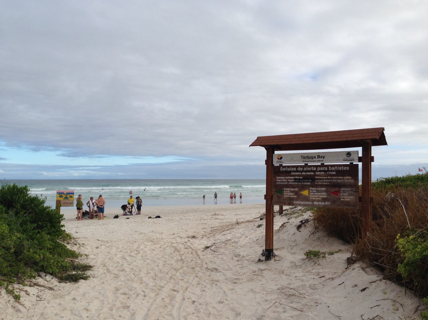 Tortuga Bay Galapagos photo #9